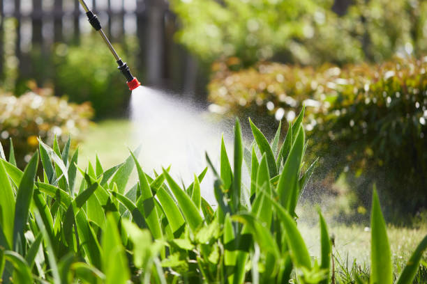 24/7 Emergency Mosquito Control experts in Countryside, VA